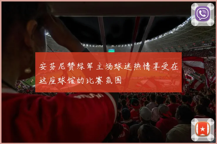 安芬尼赞绿军主场球迷热情享受在这座球馆的比赛氛围