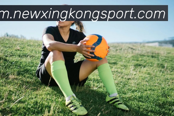 星空足球平台生态图